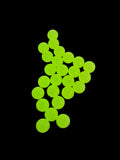 Chartreuse Cream Glow